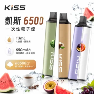 凱斯 KIS5 6500口一次性電子煙 | 磁吸雙口味混搭 13ml油倉 | Type-C快充 Mesh雙芯 14款口味 台灣現貨