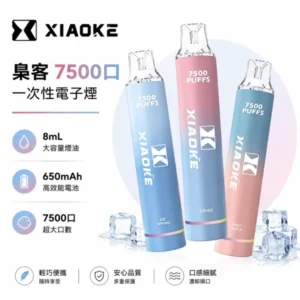 XIAOKE 梟客 7500口一次性電子煙 | 8ml油倉 650mAh電池 | Type-C快充  氣動感應 20種口味 台灣現貨